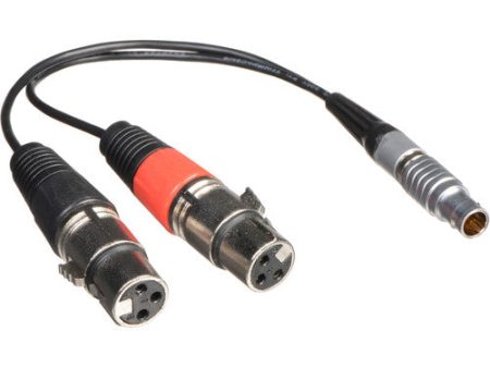 Atomos XLR Breakout Cable for Shogun (Input Only) Sale